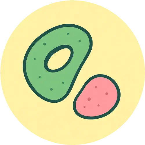 東京ボルダリングサークル